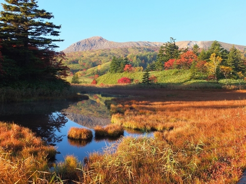 イベント 湯love草津 草津温泉観光協会ホームページ