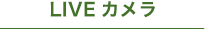 LIVEカメラ