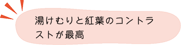 紅葉ポイント