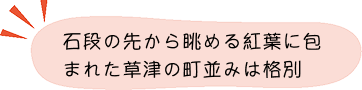 紅葉ポイント