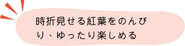 紅葉ポイント
