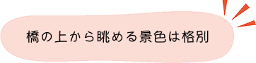紅葉ポイント