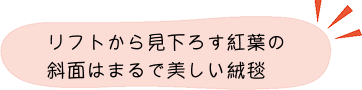 紅葉ポイント