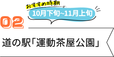 草津のおすすめ紅葉スポット