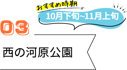 草津のおすすめ紅葉スポット