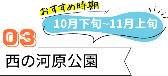 草津のおすすめ紅葉スポット